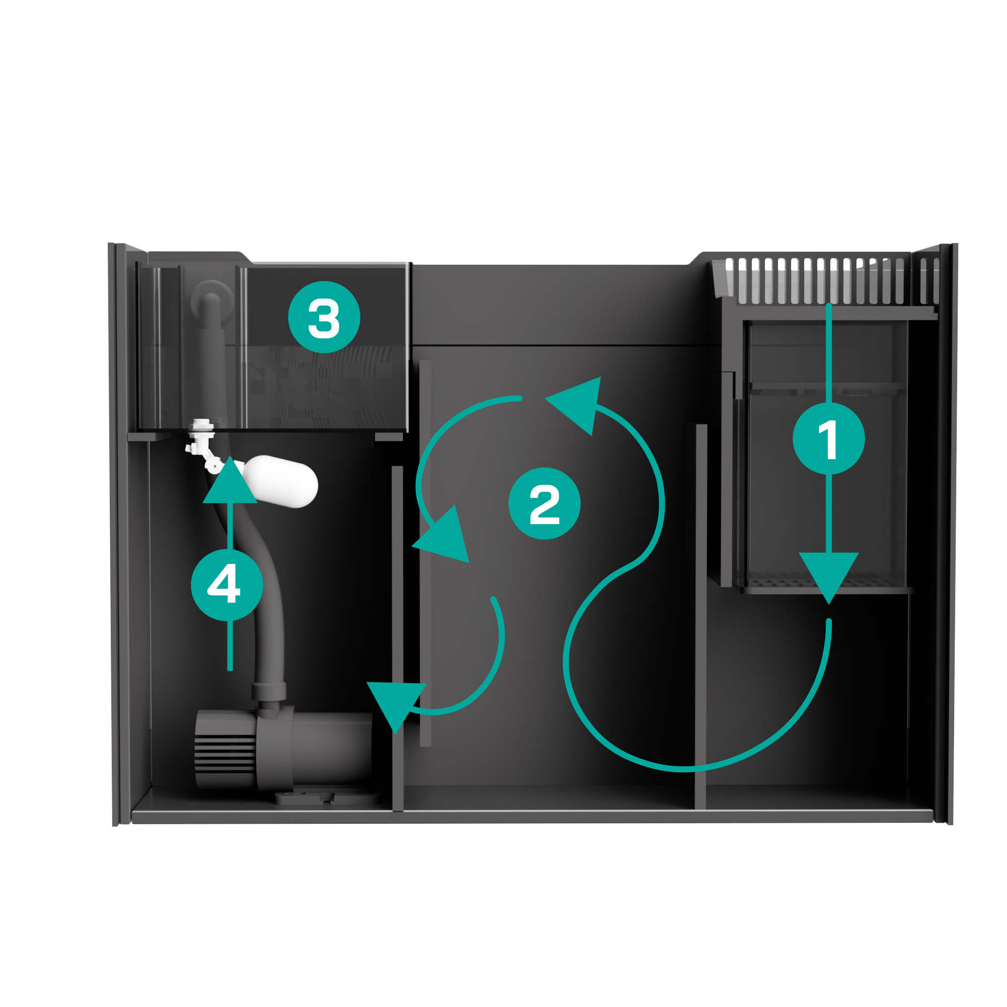 Sistema traseiro modular Reef Essential